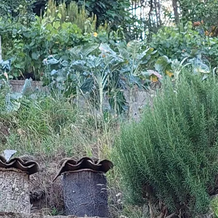 Moinho Do Formigal *