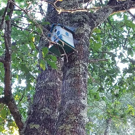 Moinho Do Formigal Apartman