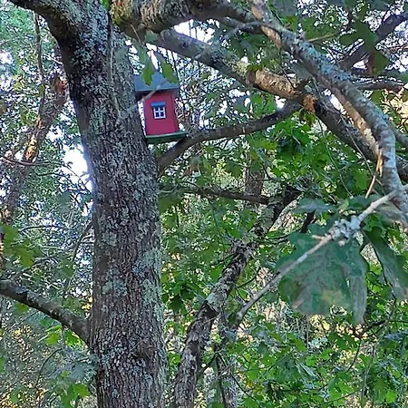 Apartamento Moinho Do Formigal Valença do Minho