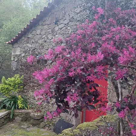 Apartman Moinho Do Formigal *