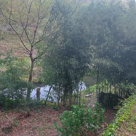 Moinho Do Formigal Valença