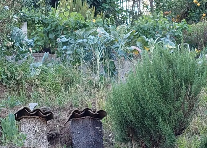 Moinho Do Formigal *