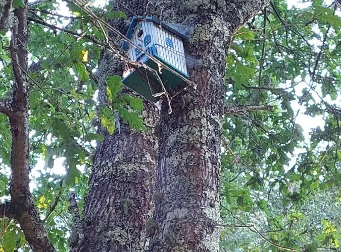 Moinho Do Formigal アパート