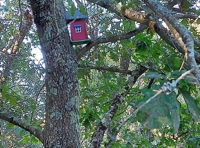 アパート Moinho Do Formigal ヴァレンサ