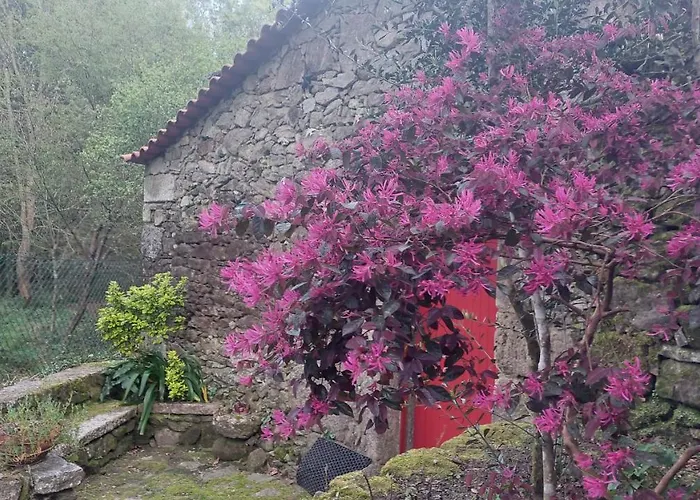 アパート Moinho Do Formigal *